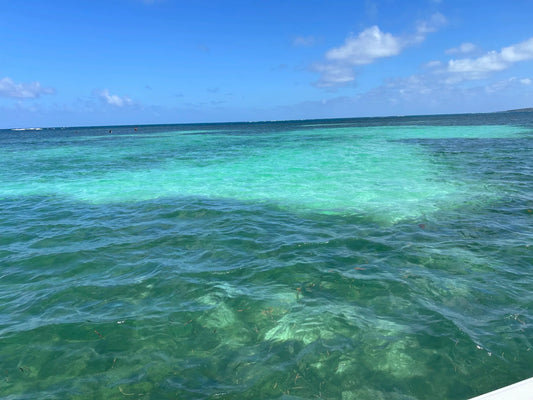 5 raisons d’aller à la baignoire de Joséphine en Martinique
