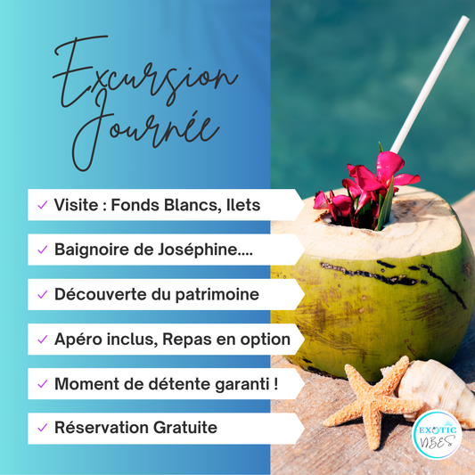 Excursion Bateau Martinique Journée 9h-17h - Exotic Vibes Excursion