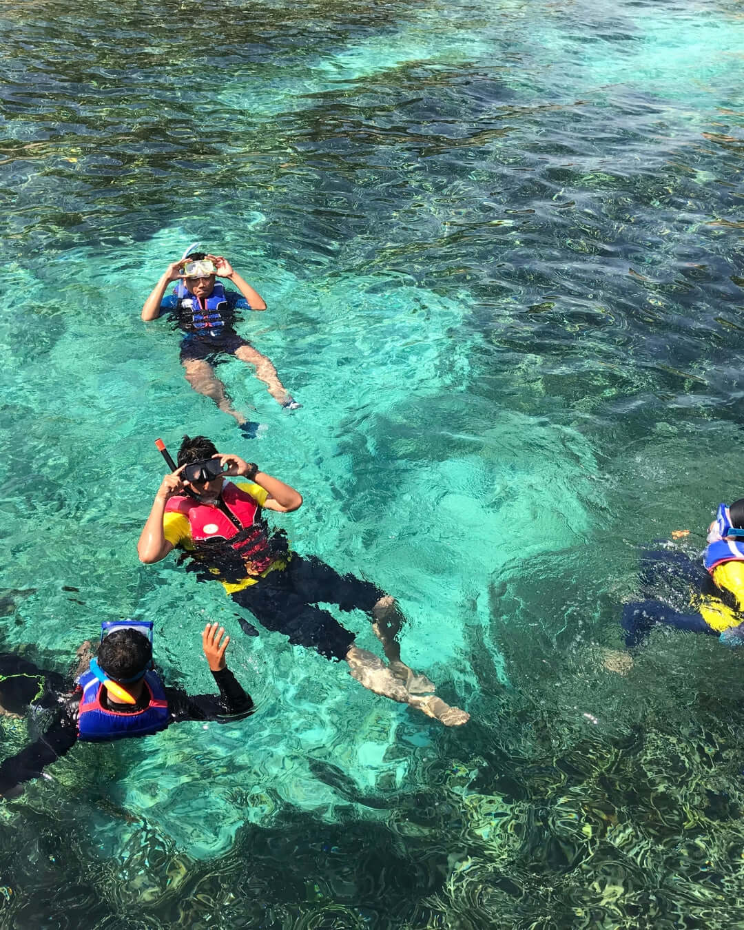 Snorkeling Martinique Exotic Vibes Excursion
