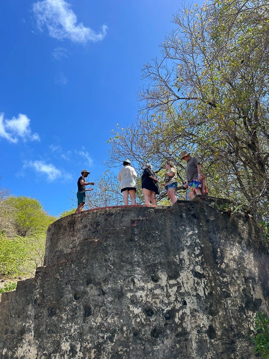 Comment se déroule une excursion à l’ile aux iguanes en Martinique ?
