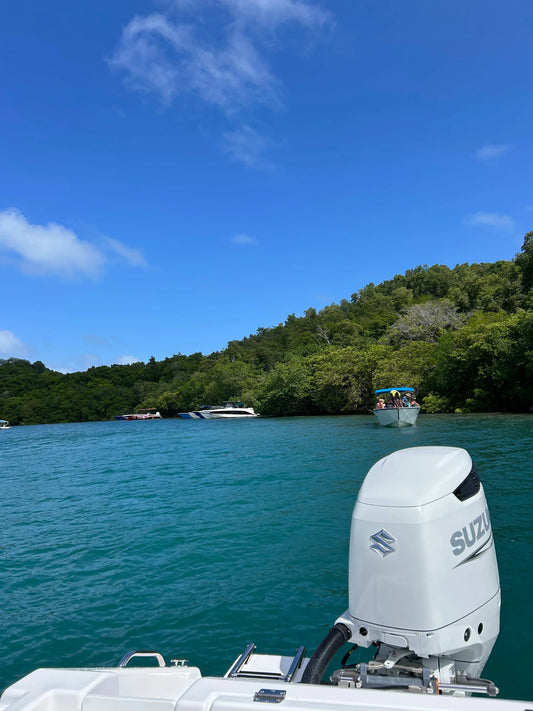 Comment se déroule une excursion à l’ile aux iguanes en Martinique ?